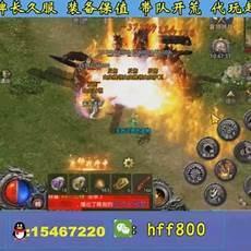 崽