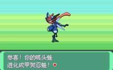 究极绿宝石3甲贺忍蛙怎么羁绊进化